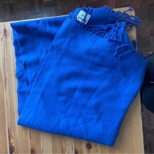 Sunday Best Aritzia Blue Scarf